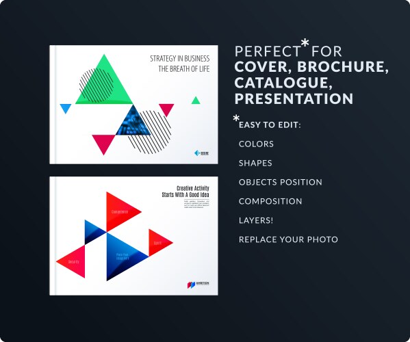 Triangular design presentation template vector image
