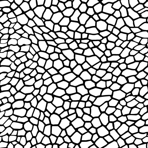 reptile skin seamless animal crocodile pattern vector image