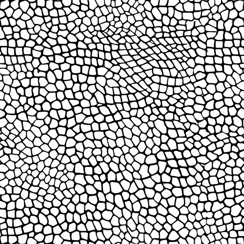 Reptile skin seamless animal crocodile pattern vector image