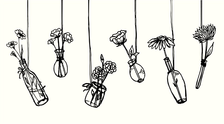 Drawing hanging flowers in glasses Vector Image