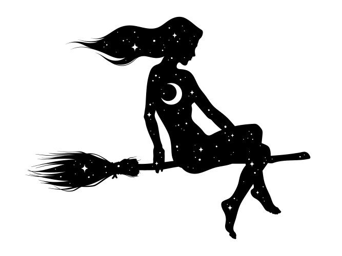 Silhouette beautiful witch girl on a broom vector image