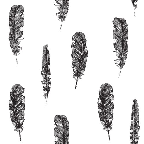 Seamless pattern with hand drawn feathers Vector Image
