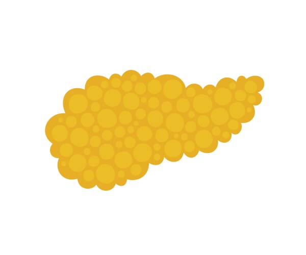 Cartoon pancreas healthy body organ character Vector Image