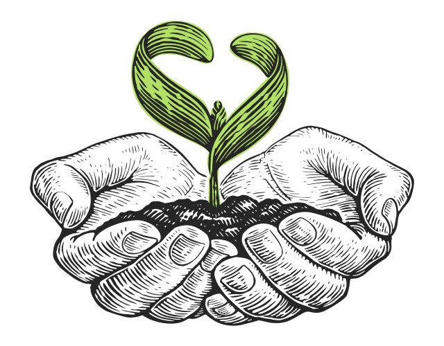 Hands plant seedlings in the soil earth day vector image