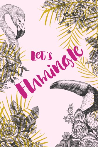 Hand drawn flamingo and tukan design lets Vector Image