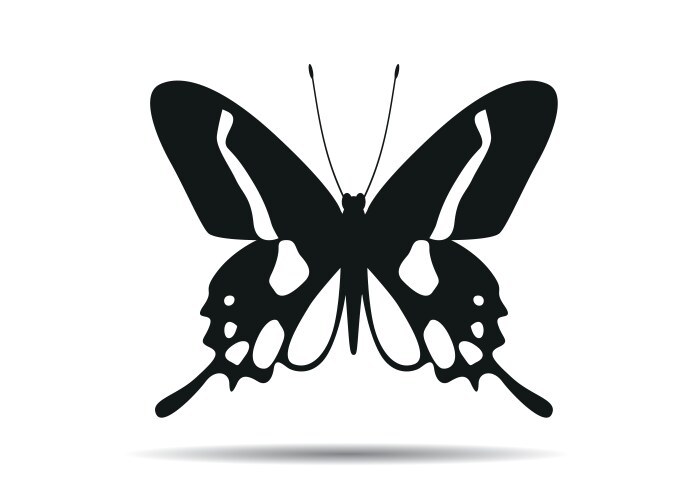 Butterfly wings and outline icon vector image