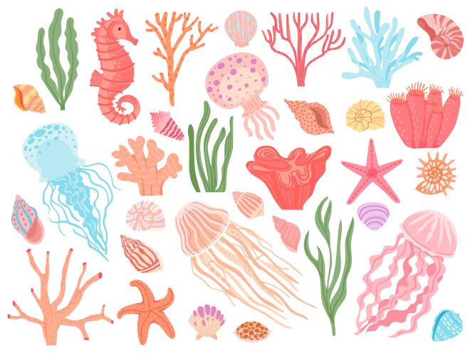 Ocean Animals & Reefs Vector Image