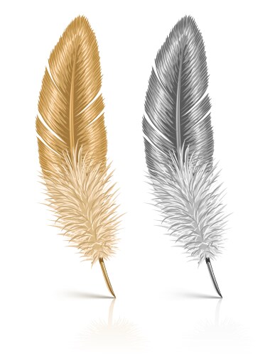 Black feathers on white background Royalty Free Vector Image
