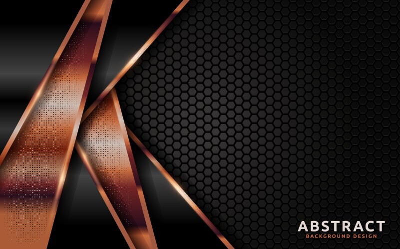 Dark abstract background with overlap layer vector image