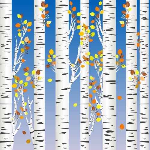 Seamless pattern with birch trees design element Vector Image