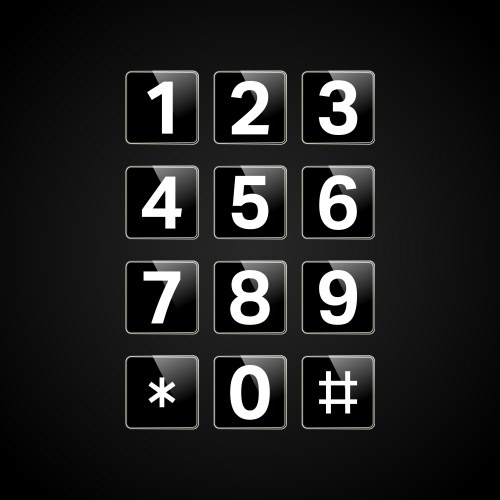 Digital Keypad with Numeric Buttons vector image