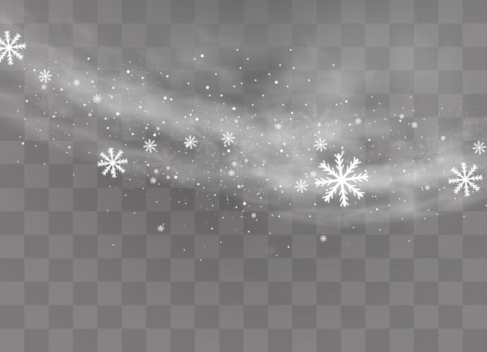 Snow and wind on a transparent background white Vector Image