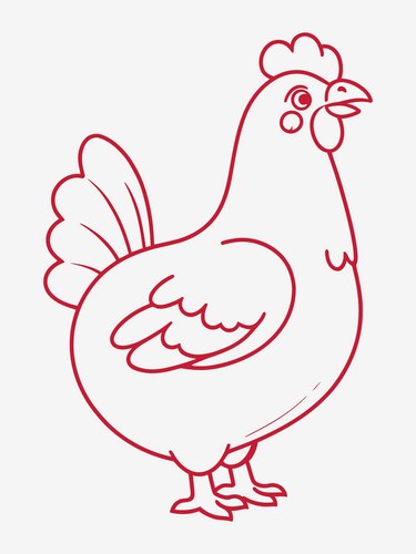Red Hen Coloring Page Vector Image