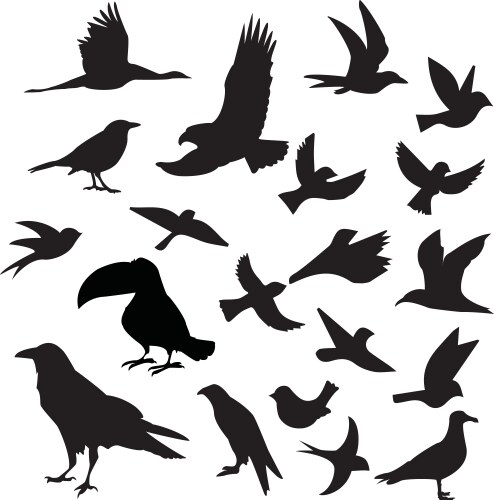 Dark Bird Silhouettes Vector Image
