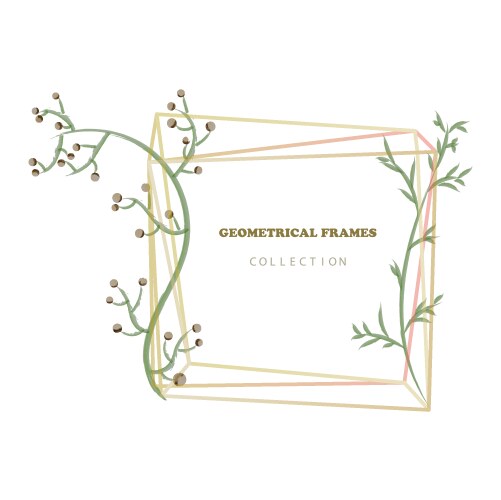 Botanical Floral Card with Geometric Frame Vector Image