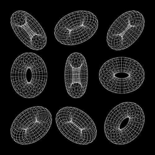 wireframe shapes lined torus perspective mesh vector