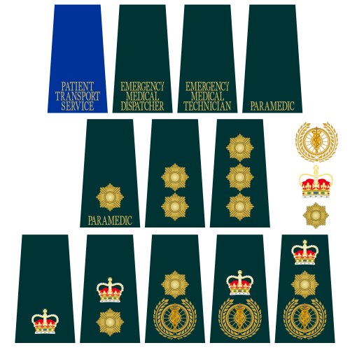 Medical Service Emblem of Britain Vector Image