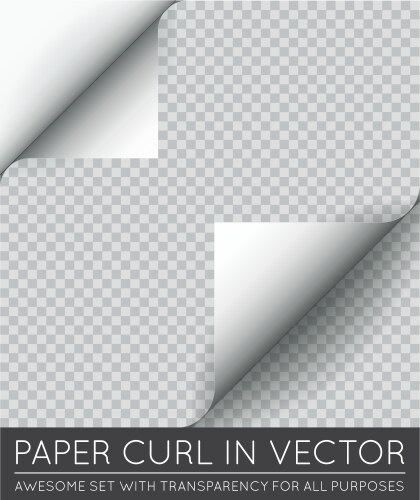 Paper page curl with shadow isolated vector image