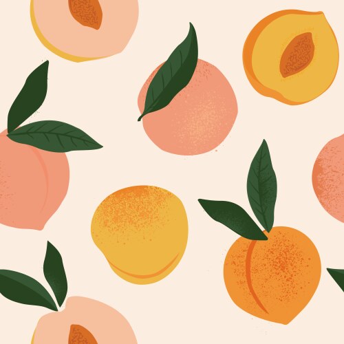 Apricot frame Royalty Free Vector Image - VectorStock