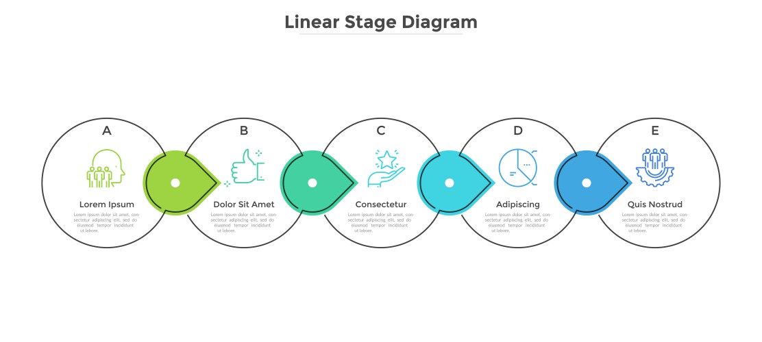 modern infographic template vector image