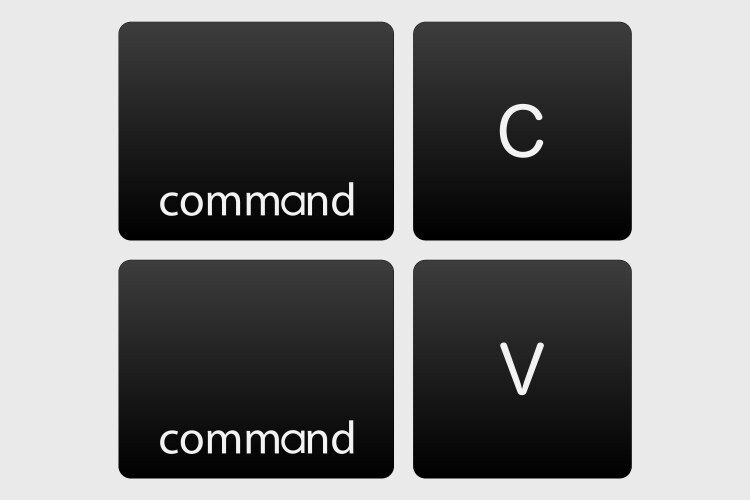Copy paste button control ctrl c v vector image