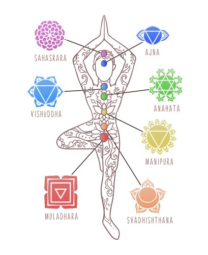 Yoga man chakras energy healing infographic vector image