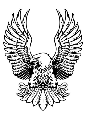 Bald Eagle with Open Wings – Royalty-Free Vector | VectorStock