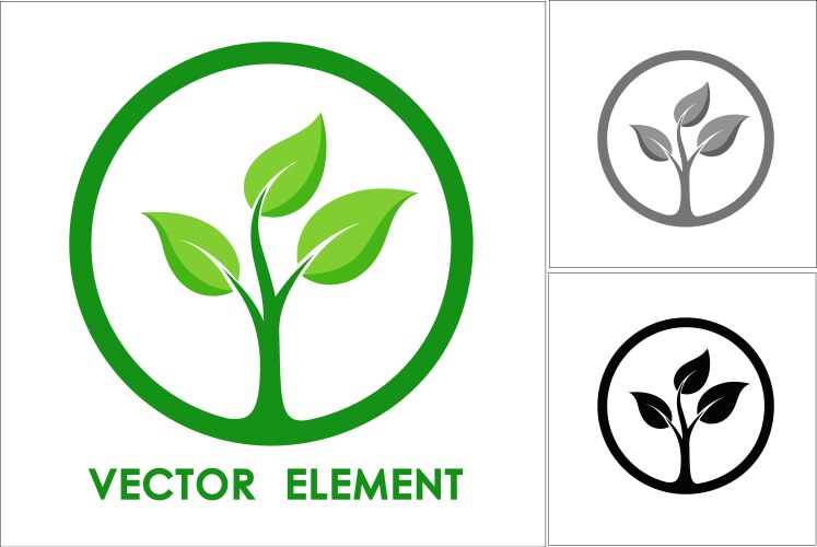 Green leaf nature logo vector image