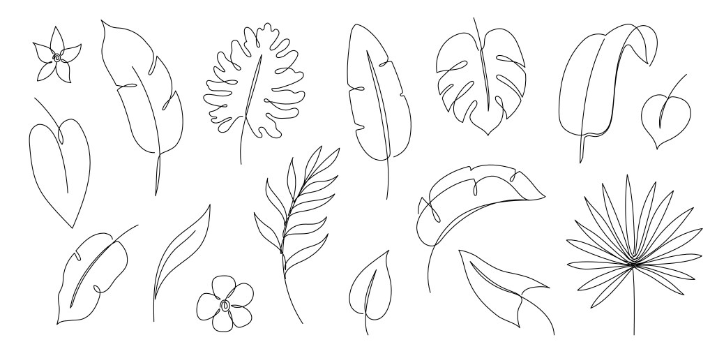 outline tropic palm leaf set one continuous line vector