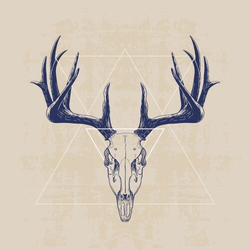 deer-skull-vector-images-over-2-400