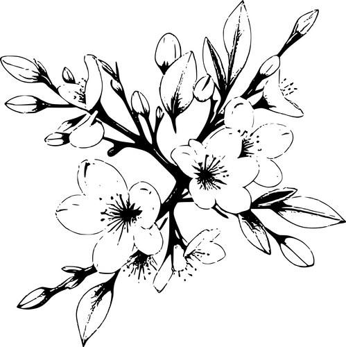 Elegant Sakura Branch Vector Image