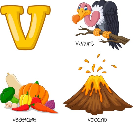 Animal alphabet with umbrella bird Royalty Free Vector Image