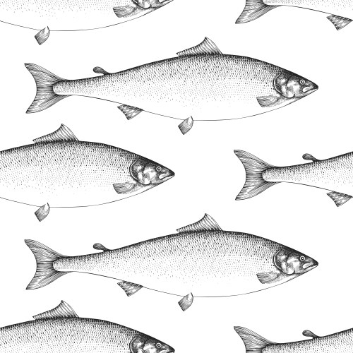 Salmon Vector Images (over 65,000)