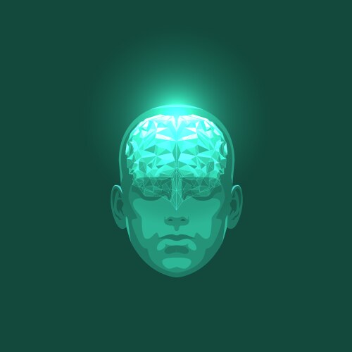 Brain Drawing Front View Brain Front View Vector Images (over 360)