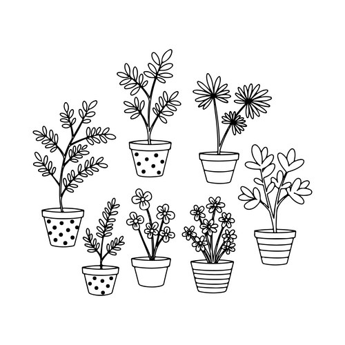 Minimalist Potted Plant Collection Vector Image