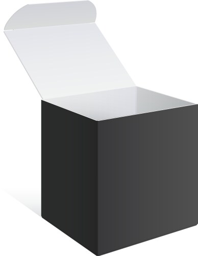 realistic black open package box vector image