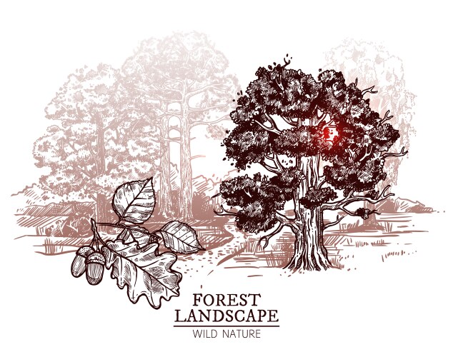 Old oak tree hand drawn engraved style Royalty Free Vector