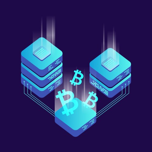 Mining bitcoin server icon in isometric style vector image