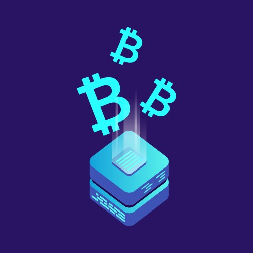 Mining bitcoin server icon in isometric style vector image