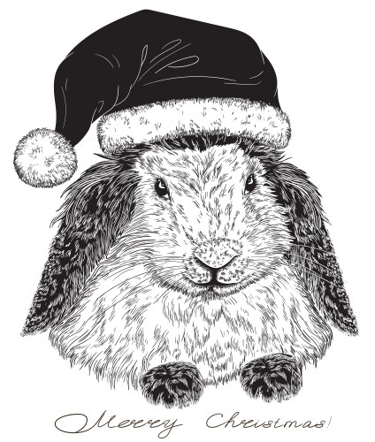Santa Rabbit Portrait Vector Image