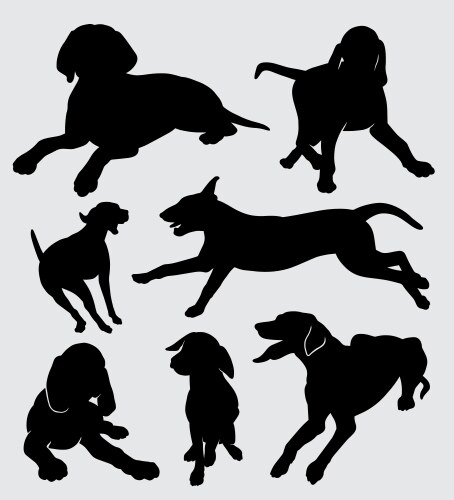 Vizsla dog animal silhouette vector image