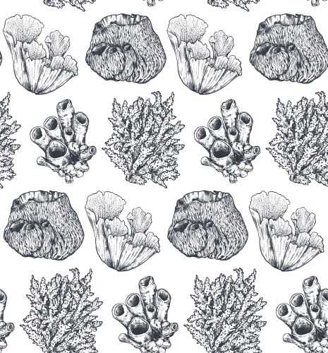Monochrome frame with hand drawn reef corals Vector Image