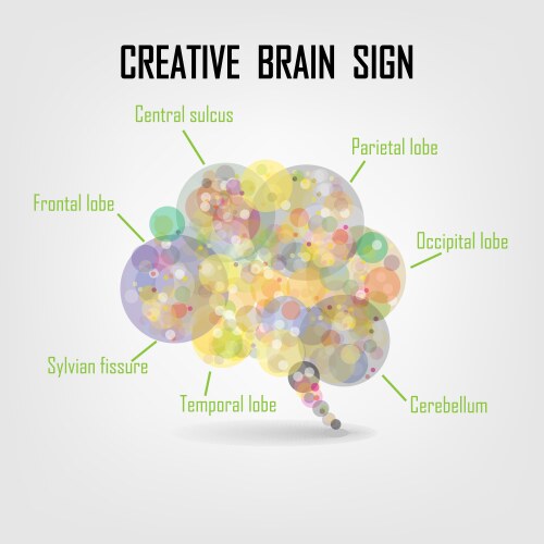 Creative left and right brain sign Royalty Free Vector Image