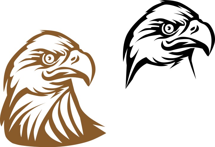 Head of eagle Royalty Free Vector Image - VectorStock
