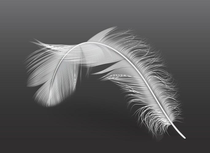 Feathers falling down on pile realistic – Royalty-Free Vector | VectorStock