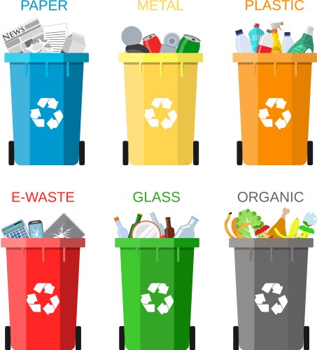 Waste Sorting and Recycling vector image