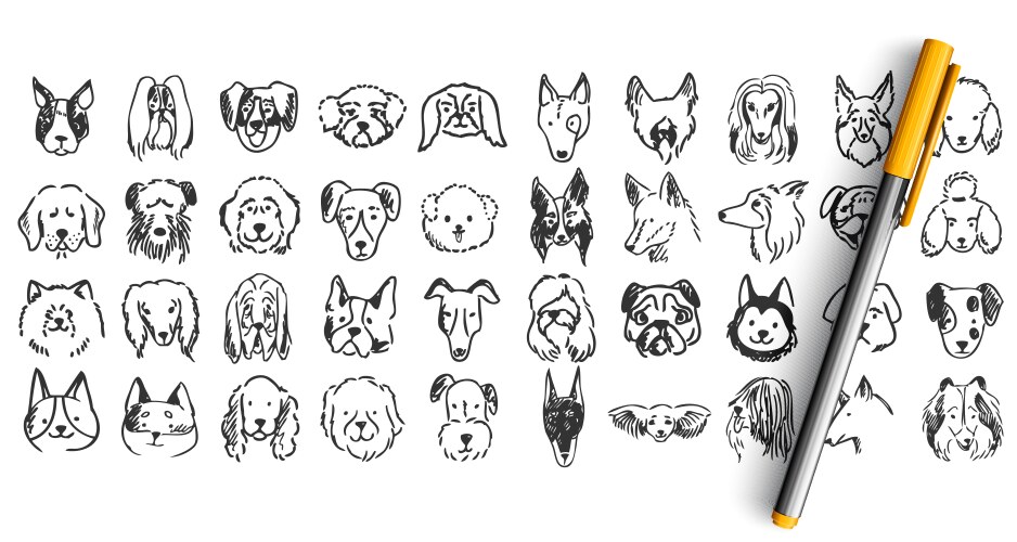 Faces of dogs different breeds look at screen Vector Image