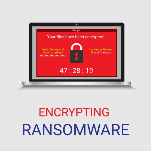 Malware encrypted file in computer ransomware vector image