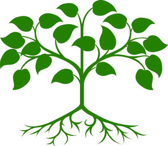 Holistic therapy tree with roots on organic paper Vector Image