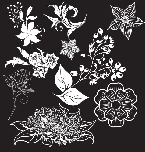 Floral elements Royalty Free Vector Image - VectorStock